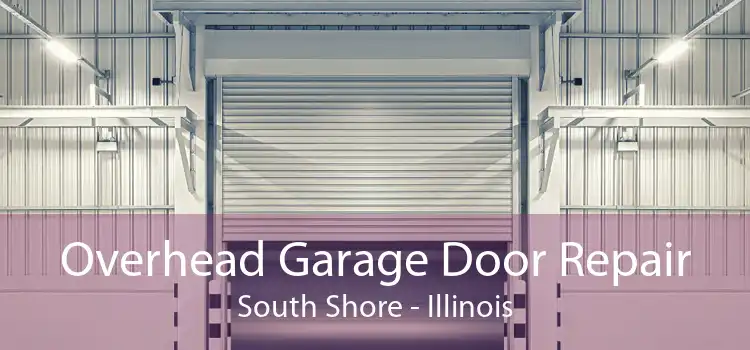 Overhead Garage Door Repair South Shore - Illinois