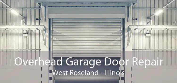 Overhead Garage Door Repair West Roseland - Illinois