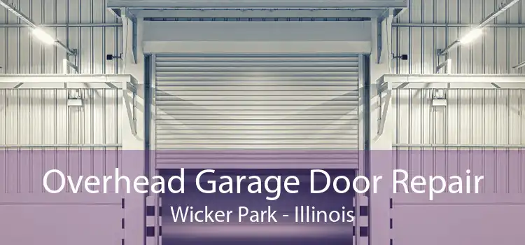 Overhead Garage Door Repair Wicker Park - Illinois