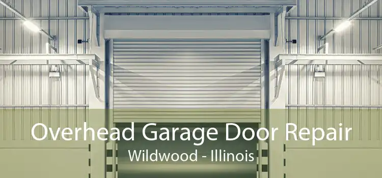 Overhead Garage Door Repair Wildwood - Illinois