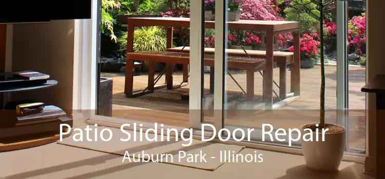 Patio Sliding Door Repair Auburn Park - Illinois