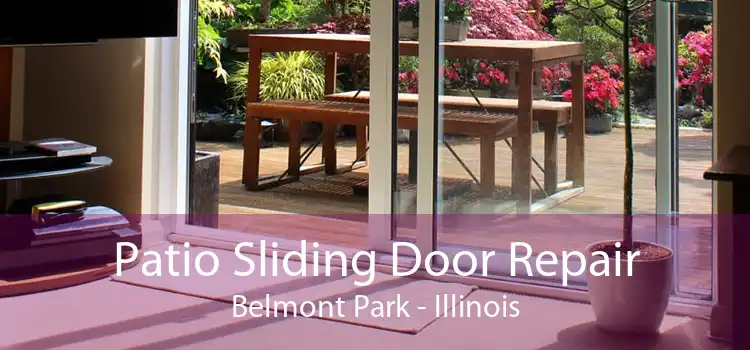 Patio Sliding Door Repair Belmont Park - Illinois