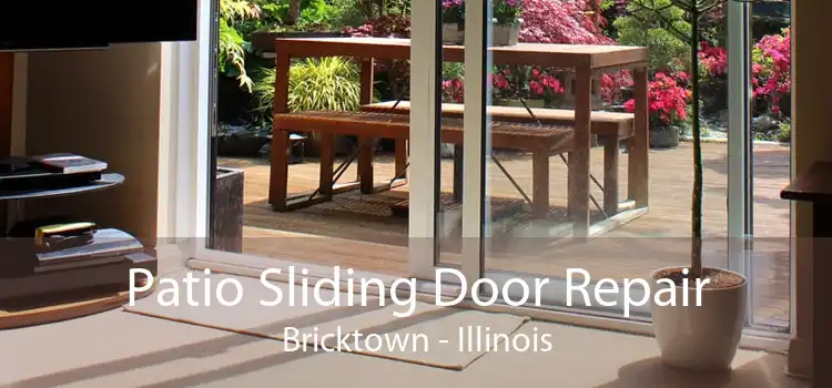 Patio Sliding Door Repair Bricktown - Illinois