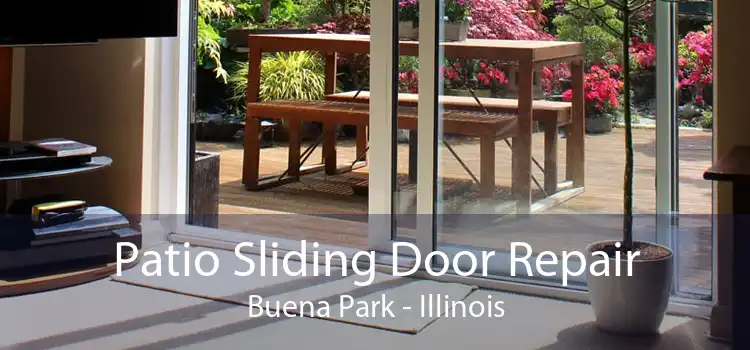 Patio Sliding Door Repair Buena Park - Illinois