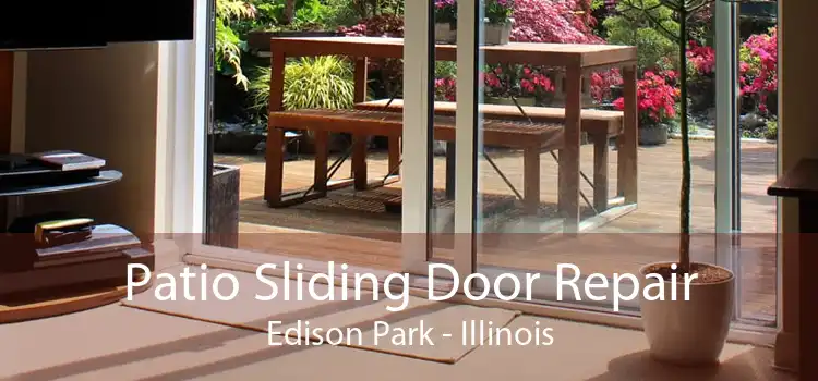 Patio Sliding Door Repair Edison Park - Illinois