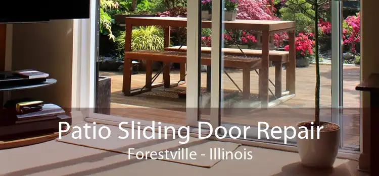 Patio Sliding Door Repair Forestville - Illinois