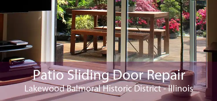 Patio Sliding Door Repair Lakewood Balmoral Historic District - Illinois