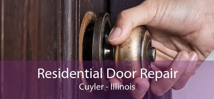 Residential Door Repair Cuyler - Illinois