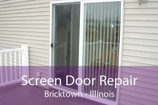 Screen Door Repair Bricktown - Illinois