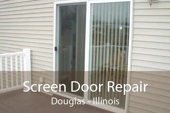 Screen Door Repair Douglas - Illinois