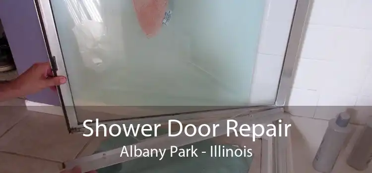 Shower Door Repair Albany Park - Illinois