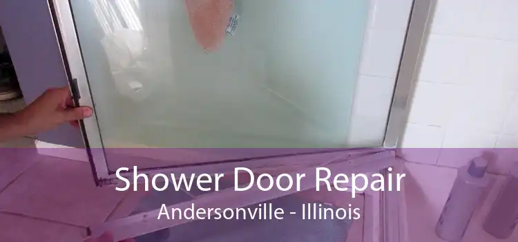 Shower Door Repair Andersonville - Illinois