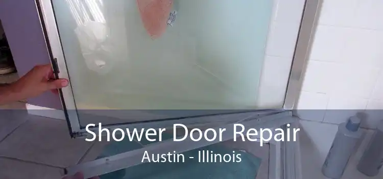 Shower Door Repair Austin - Illinois