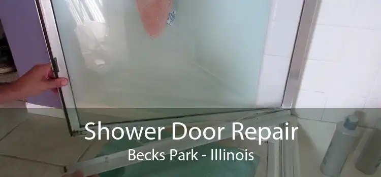 Shower Door Repair Becks Park - Illinois