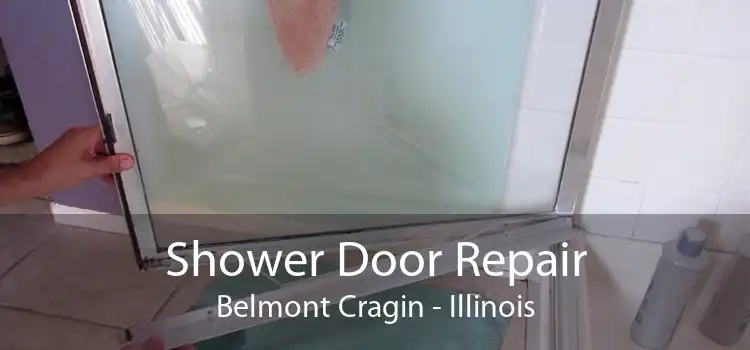 Shower Door Repair Belmont Cragin - Illinois