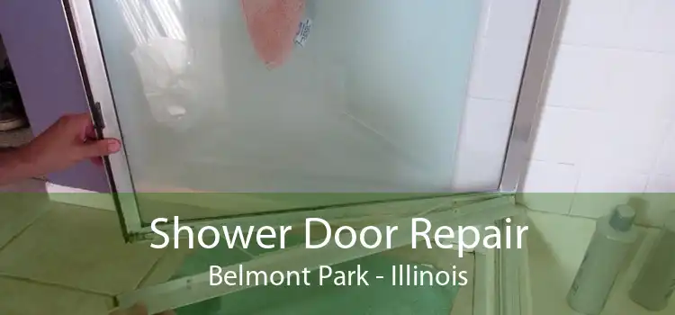 Shower Door Repair Belmont Park - Illinois