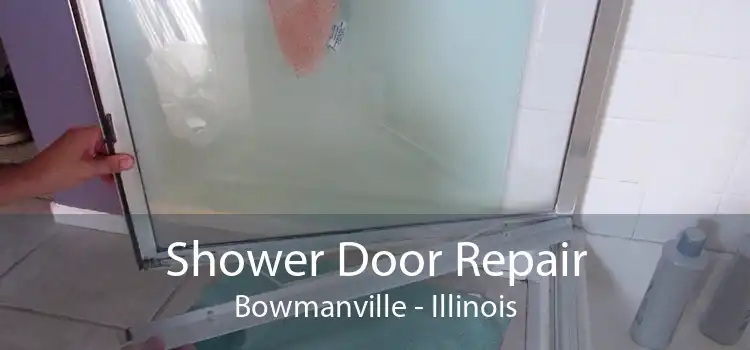 Shower Door Repair Bowmanville - Illinois