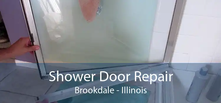 Shower Door Repair Brookdale - Illinois