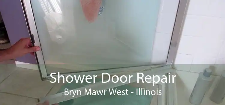 Shower Door Repair Bryn Mawr West - Illinois