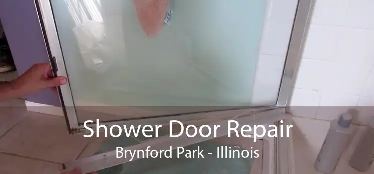 Shower Door Repair Brynford Park - Illinois