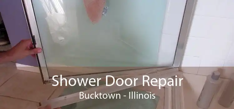 Shower Door Repair Bucktown - Illinois