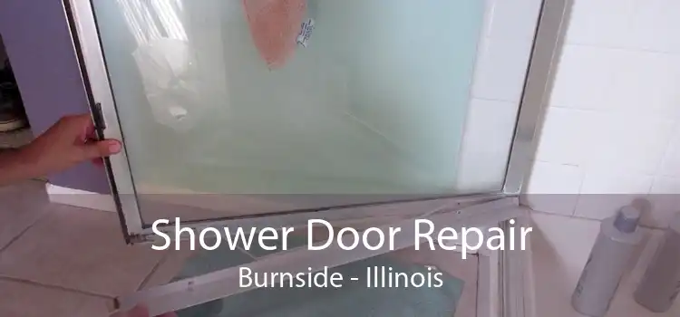 Shower Door Repair Burnside - Illinois