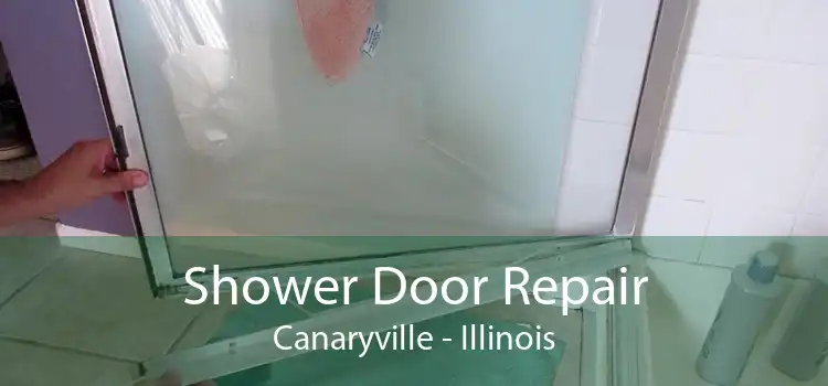 Shower Door Repair Canaryville - Illinois