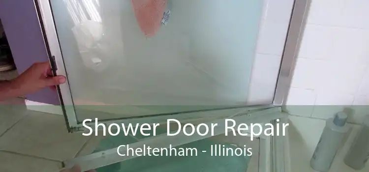 Shower Door Repair Cheltenham - Illinois