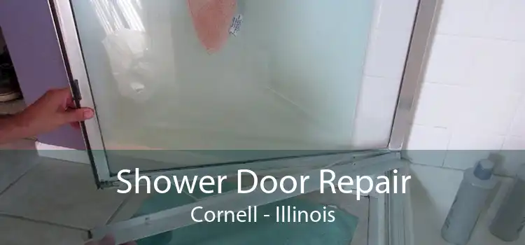 Shower Door Repair Cornell - Illinois