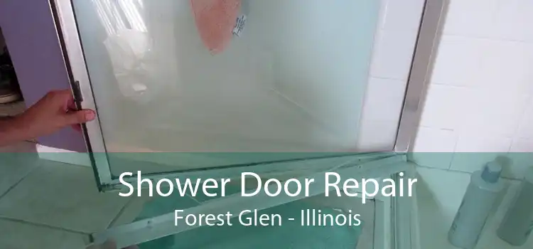 Shower Door Repair Forest Glen - Illinois