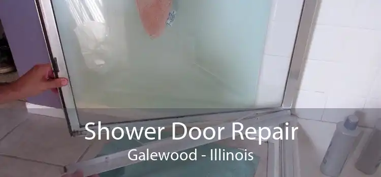 Shower Door Repair Galewood - Illinois