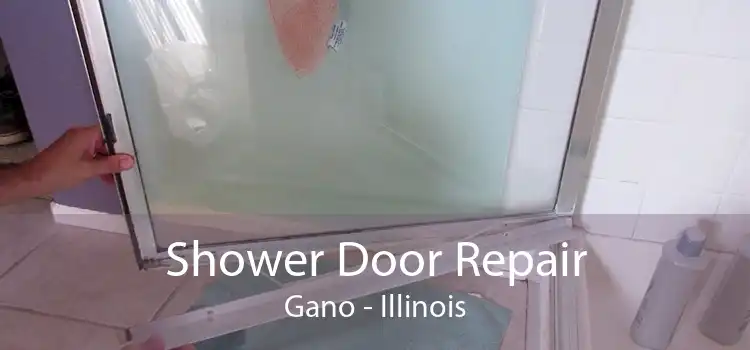 Shower Door Repair Gano - Illinois