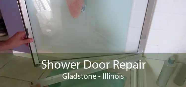 Shower Door Repair Gladstone - Illinois