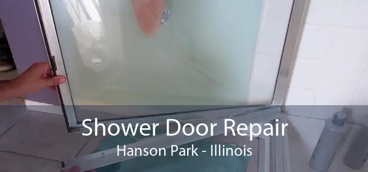 Shower Door Repair Hanson Park - Illinois