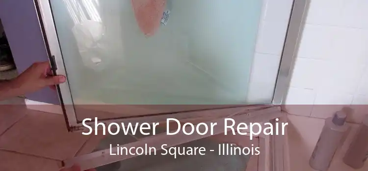 Shower Door Repair Lincoln Square - Illinois