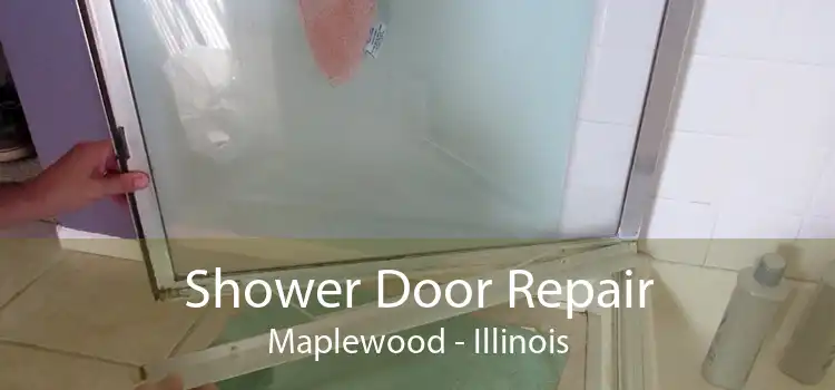 Shower Door Repair Maplewood - Illinois