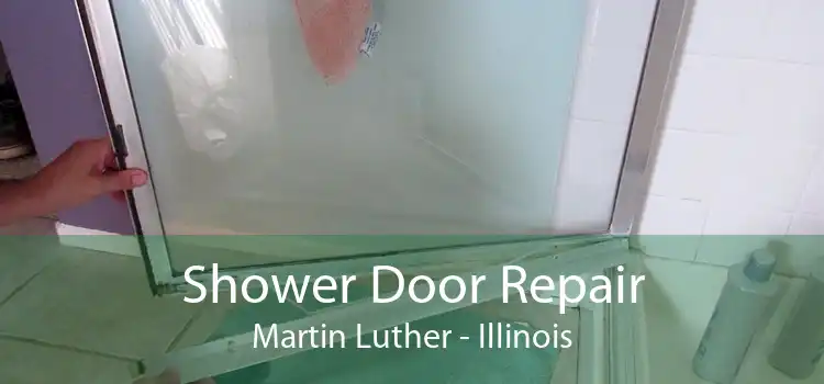 Shower Door Repair Martin Luther - Illinois