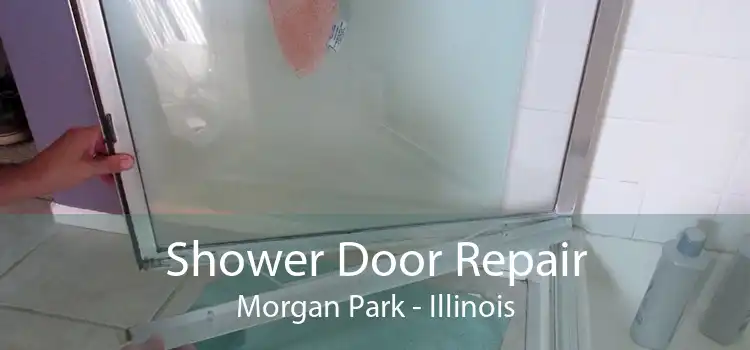 Shower Door Repair Morgan Park - Illinois