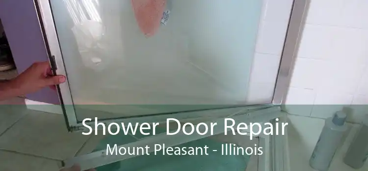 Shower Door Repair Mount Pleasant - Illinois