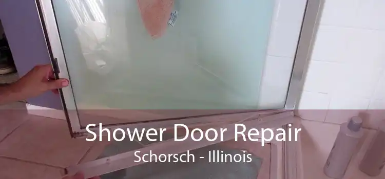 Shower Door Repair Schorsch - Illinois