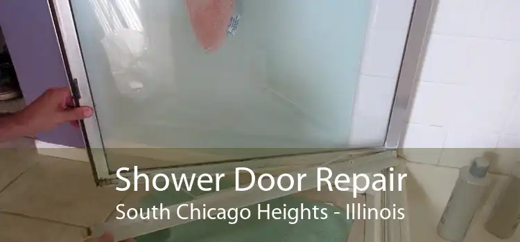 Shower Door Repair South Chicago Heights - Illinois