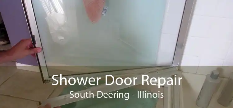 Shower Door Repair South Deering - Illinois