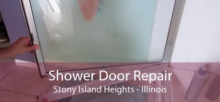 Shower Door Repair Stony Island Heights - Illinois