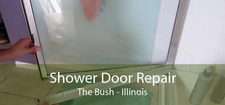 Shower Door Repair The Bush - Illinois