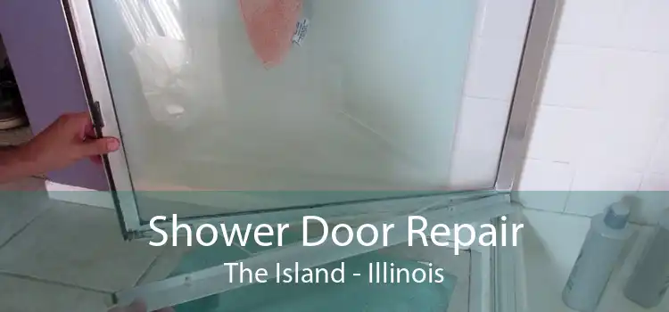 Shower Door Repair The Island - Illinois