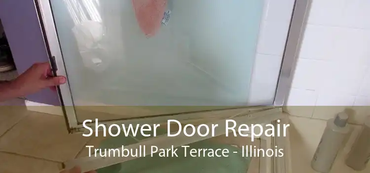 Shower Door Repair Trumbull Park Terrace - Illinois