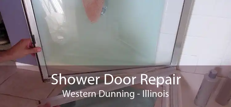 Shower Door Repair Western Dunning - Illinois