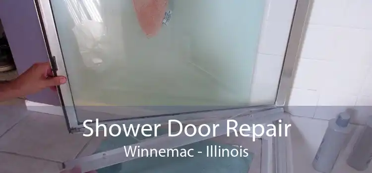 Shower Door Repair Winnemac - Illinois