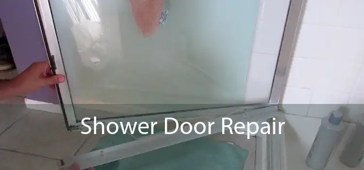 Shower Door Repair 