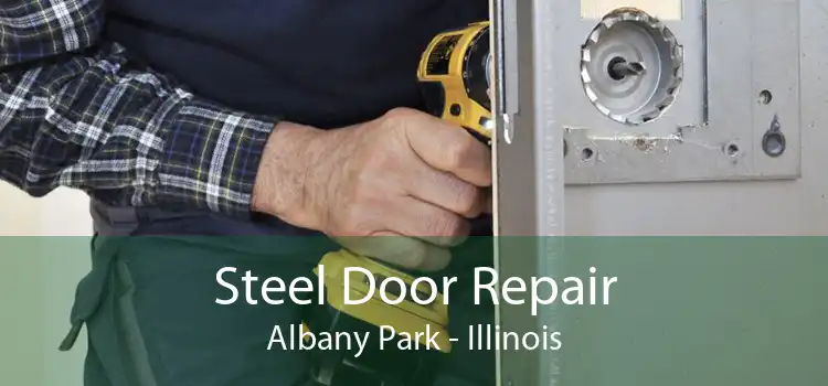 Steel Door Repair Albany Park - Illinois